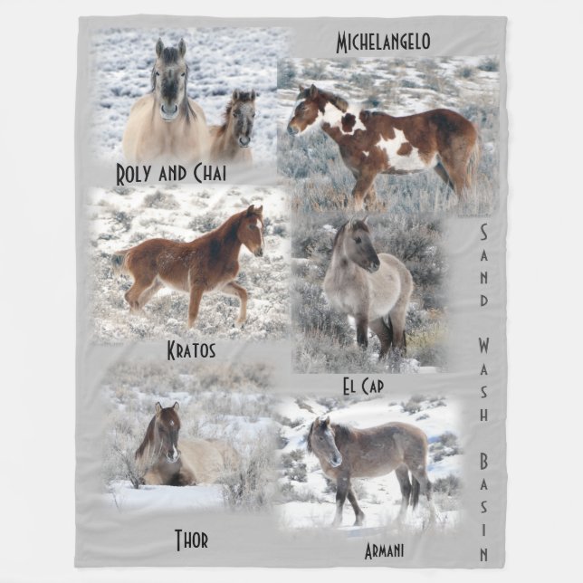 Winter in Sand Wash Basin Fleece Blanket (Front)