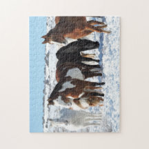 Winter in Sand Wash Basin