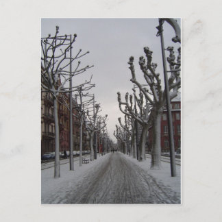 Winter in Strasbourg Postcard