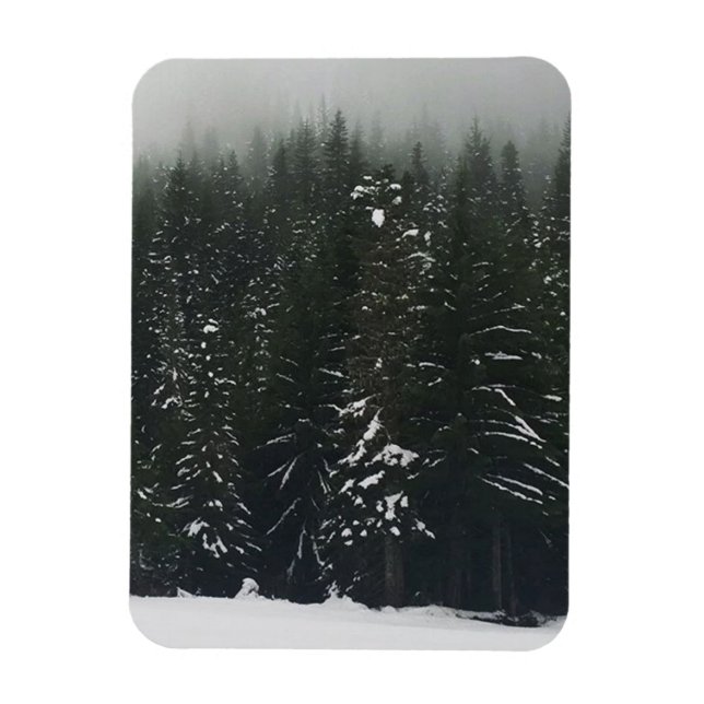 Winter in the Mountain Forest, Oregon Magnet (Vertical)