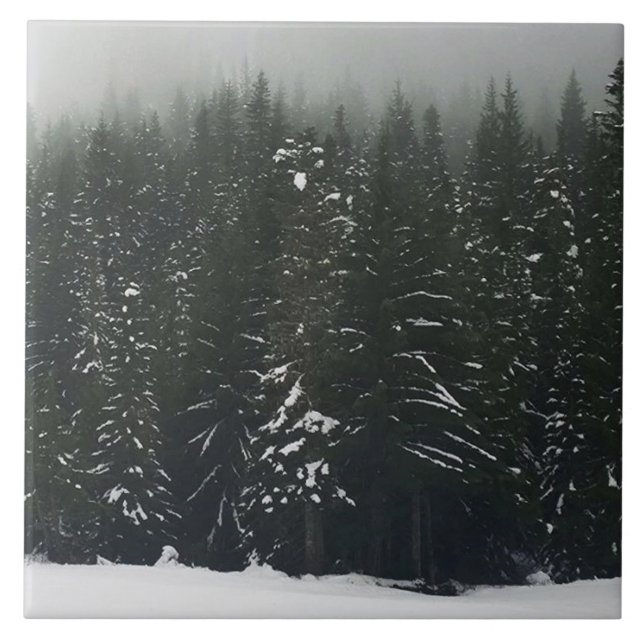 Winter in the Mountain Forest Tile (Front)