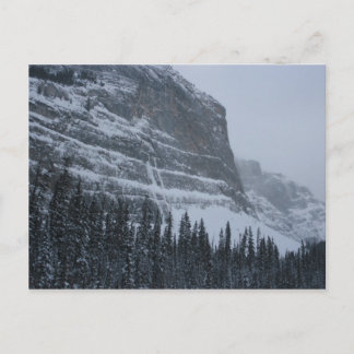 Winter in the Rockies Postcard