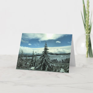 Winter in the Tillamook State Forest, Oregon Card