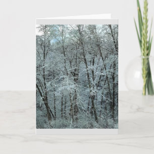 Winter in the Tillamook State Forest, Oregon Card