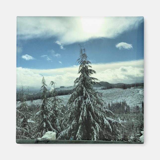 Winter in the Tillamook State Forest, Oregon Magnet (Front)