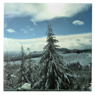 Winter in the Tillamook State Forest, Oregon Tile