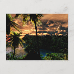 Winter In The Tropics Postcard