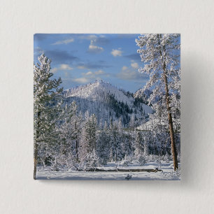 Winter in Yellowstone National Park, Wyoming 15 Cm Square Badge