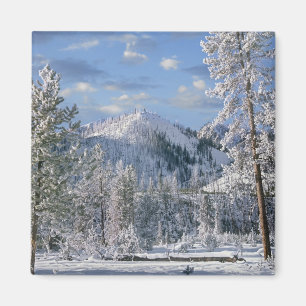 Winter in Yellowstone National Park, Wyoming Magnet