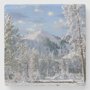 Winter in Yellowstone National Park, Wyoming Stone Coaster