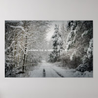 Winter journey through the woodland