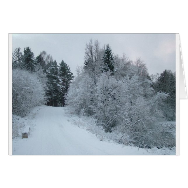 winter joy snowy road estonia (Front Horizontal)