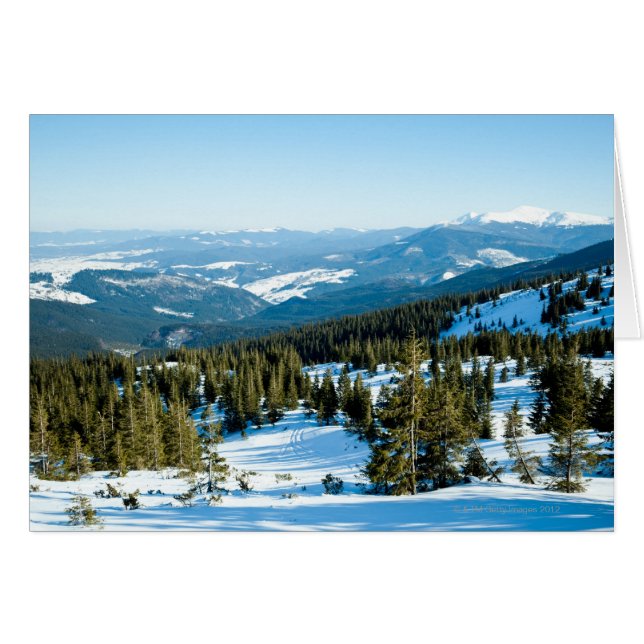 Winter land 2 (Front Horizontal)