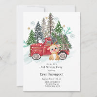 Winter land Truck and Baby Rudolph Birthday Party