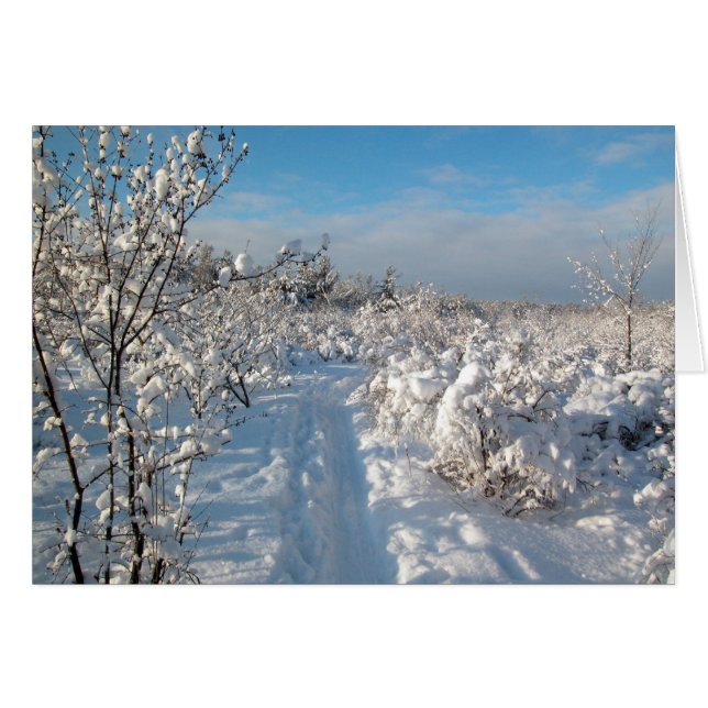 Winter Landscape (Front Horizontal)