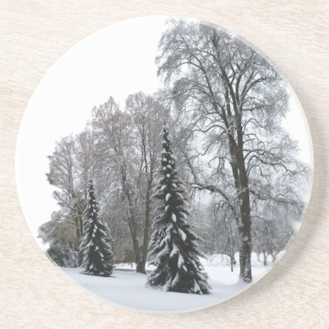 Winter Landscape Coaster Snow Covered Forest Gift (Front)