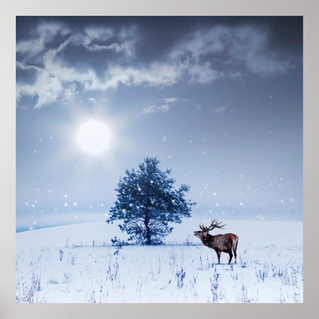 Winter landscape in blue colour. Lonely tree and w Poster (Front)