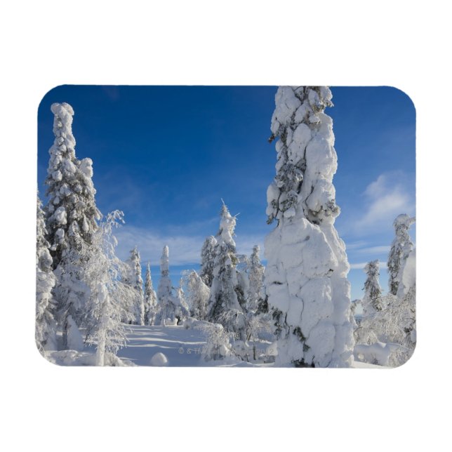 Winter landscape in Lappland Magnet (Horizontal)