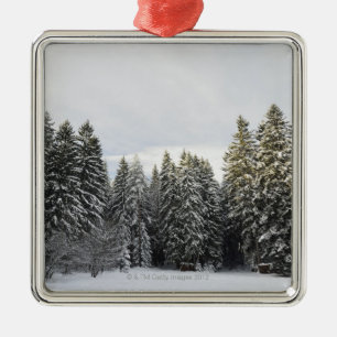 Winter Landscape near Koenigsfeld, Black Forest, Metal Tree Decoration