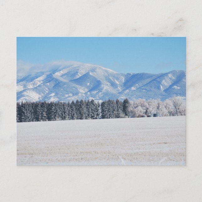 Winter Landscape of Trees, Snow and Mountains Postcard (Front)