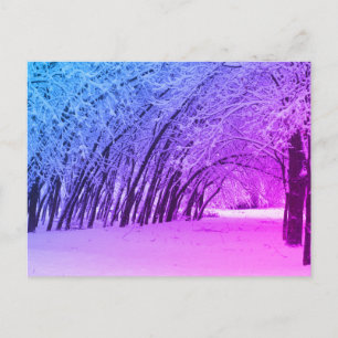 Winter Landscape Photo postcard