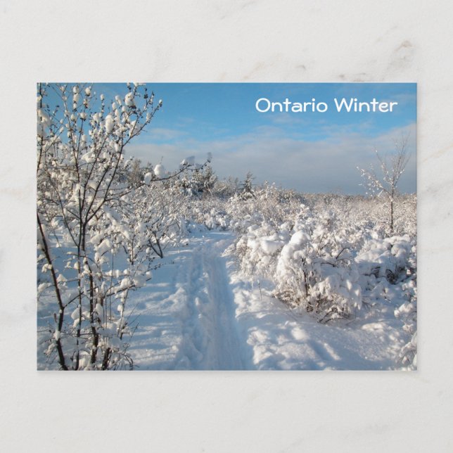 Winter Landscape - Postcard (Front)