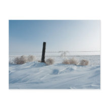 Winter Landscape Postcard