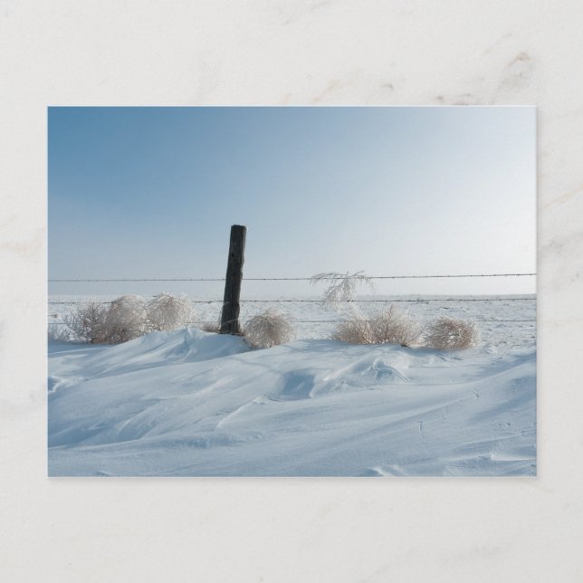 Winter Landscape Postcard (Front)