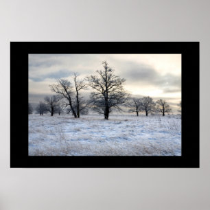 winter landscape poster