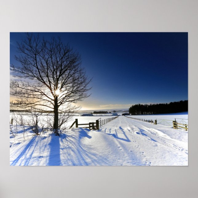 Winter Landscape Poster (Front)