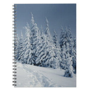 Winter Landscape Spiral Notebook
