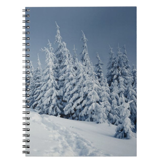 Winter Landscape Spiral Notebook (Front)