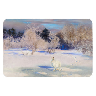 Winter Landscape with a White Hare by B. Liljefors Magnet