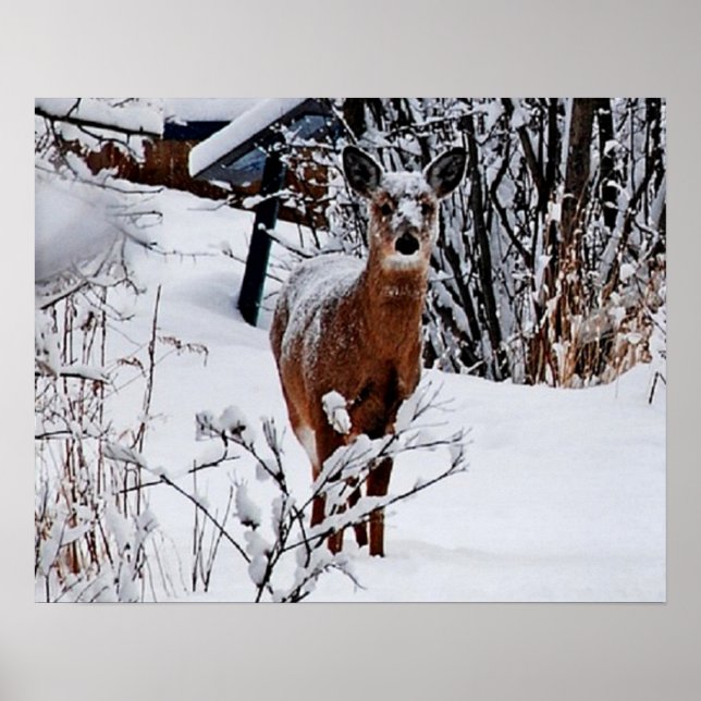 Winter Landscape with Deer Value Poster Paper (Front)