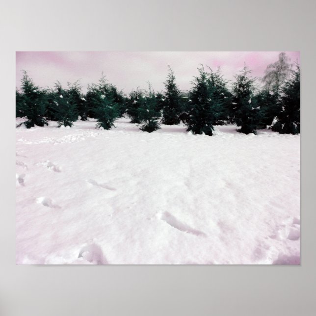 Winter landscape with larches in the snow  poster (Front)