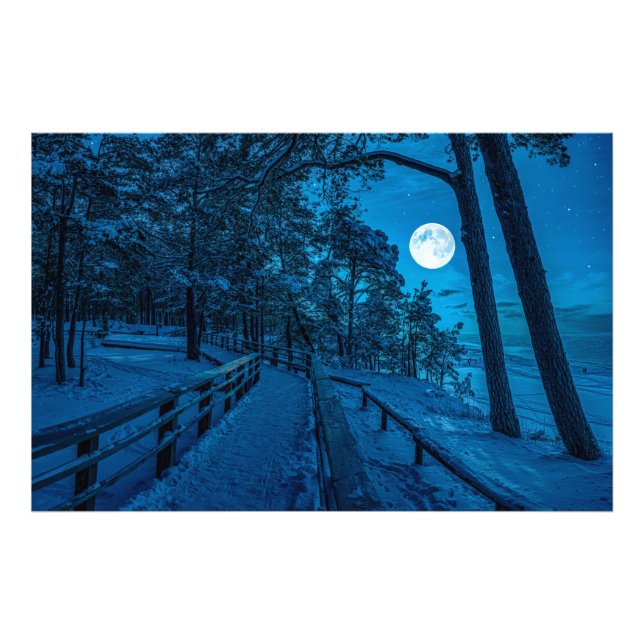 Winter landscape with snow covered pine forest photo print (Front)
