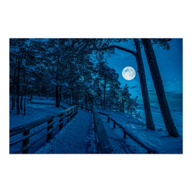 Winter landscape with snow covered pine forest poster (Front)