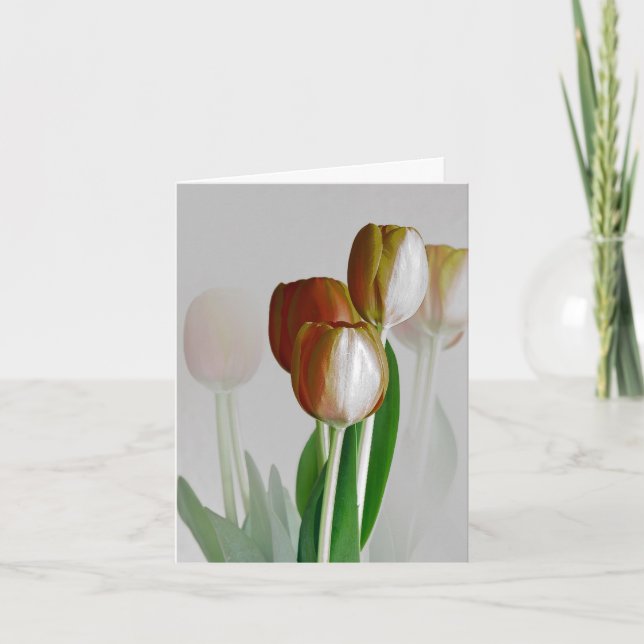 Winter Light Card (Front)