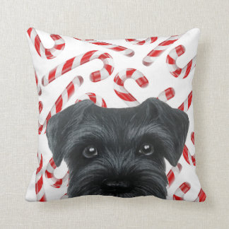 Winter limited edition. Black Schnauzer with Candy Cushion