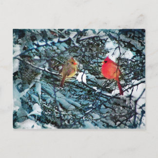 Winter love, postcard