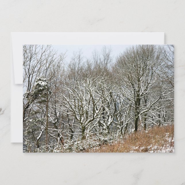Winter Macclesfield Forest Card (Front)