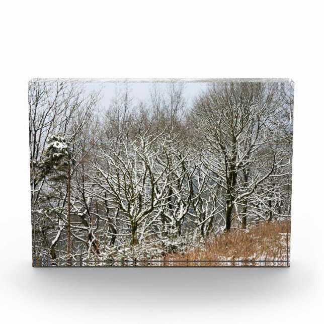 Winter Macclesfield Forest Card Canvas Print Photo Block (Front)