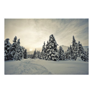 Winter Magic Photo Print