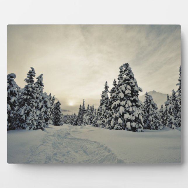 Winter Magic Plaque (Front)