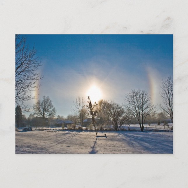 Winter Magic Postcard (Front)