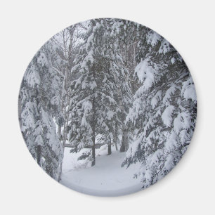 winter magnet