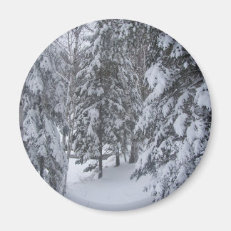 winter magnet