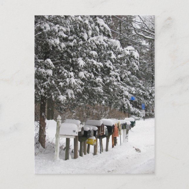 Winter Mail Boxes Holiday Post Card (Front)