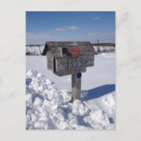 Winter mailbox