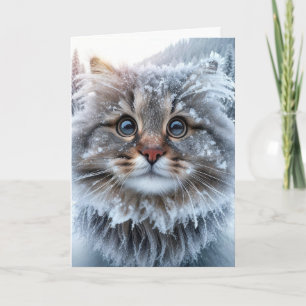 Winter Maine Coon Cat Birthday Humour Card